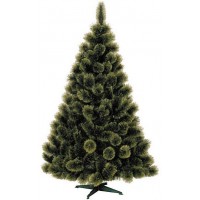 Сосна с расщепленными концами 